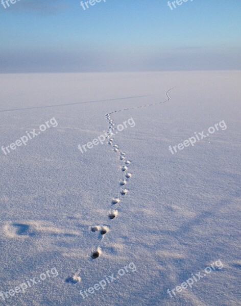 Winter Cooling Track Snow Sweden