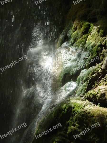 Moss Waterfall Wet Slippery Wild