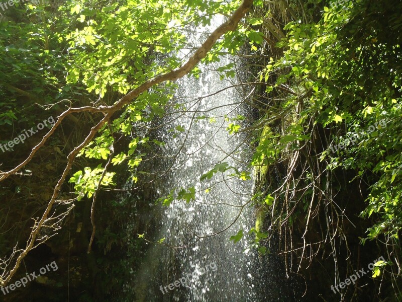 Waterfall Wild Green Nature Exotic