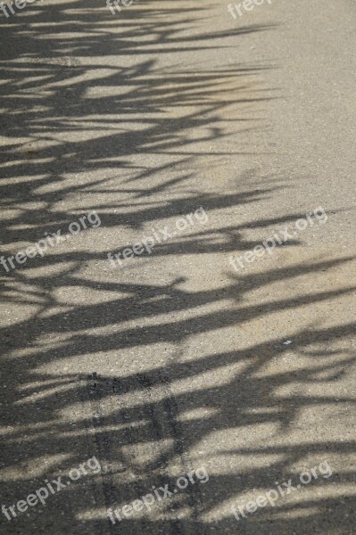 Cornfield Shadow Ground Tar Road