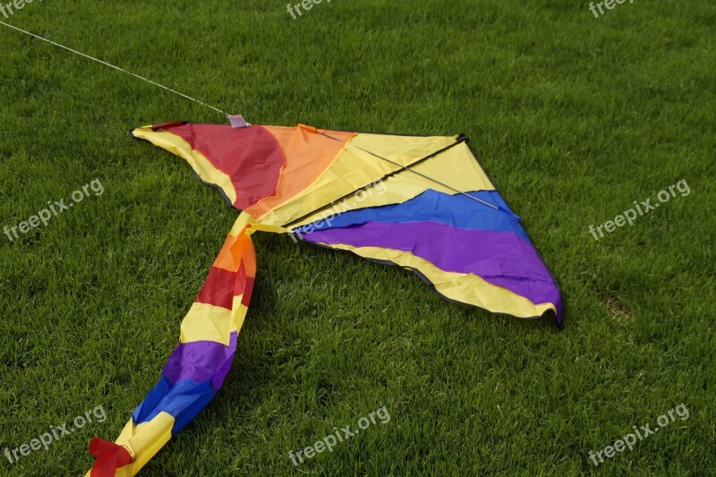 Dragons Colorful Kites Rise Autumn Wind