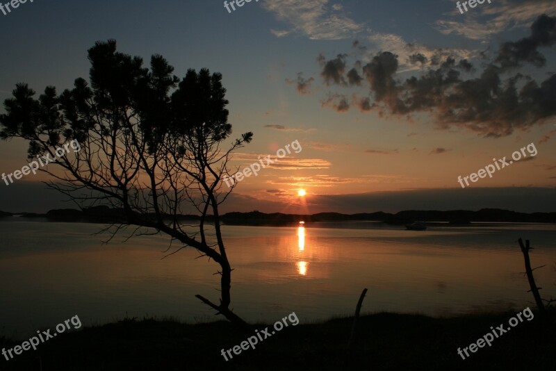 Sunset Tree Sea Silhouette Calm