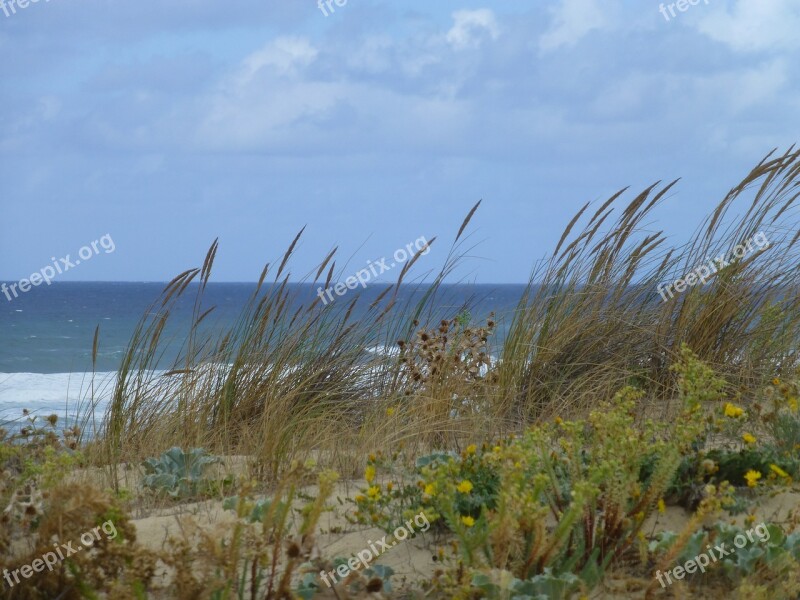 Atlantic Coast Landscape France Atlantic Coast