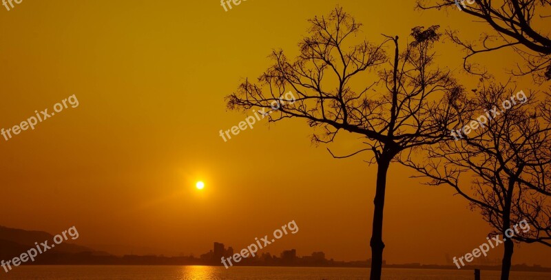 The Evening Sun Trees River Free Photos