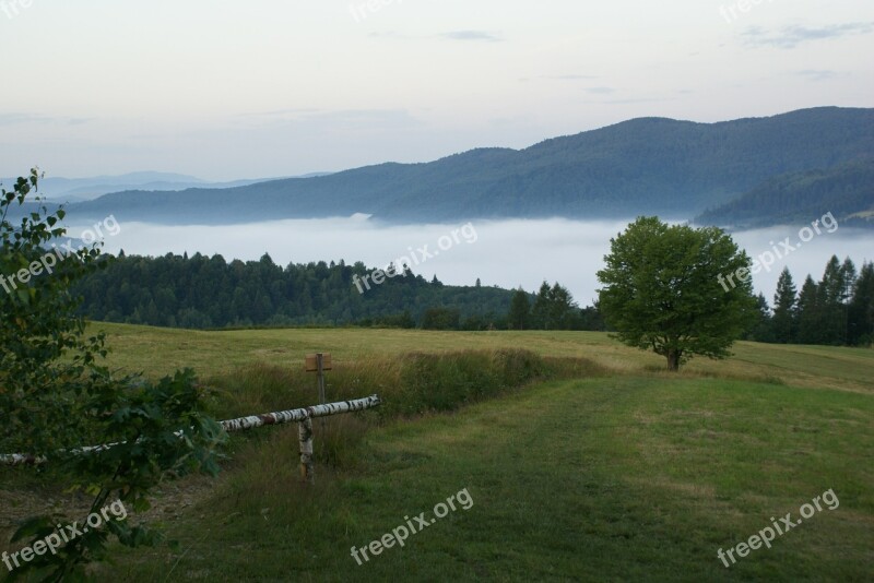 In The Morning Morning The Fog Meadow Way