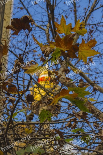 Tower Autumn Leaves Skyline Season