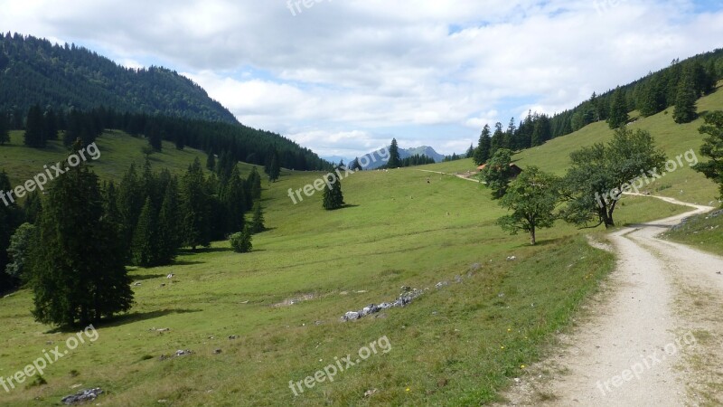 Away Lane Bavaria Allgäu Bear Moss Alpe