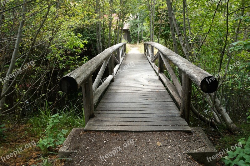 Bridge Nature Creek Wooden Path