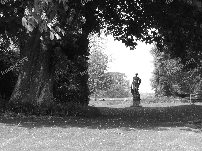 Statue Rural Tree Field Spirituality