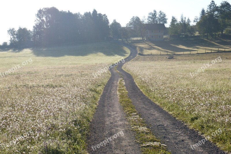 Lane Meadow Morgenstimmng Away Backlighting