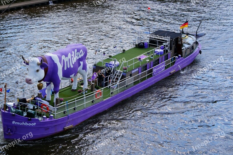 Milkakuh Purple Boat Elbe Advertising