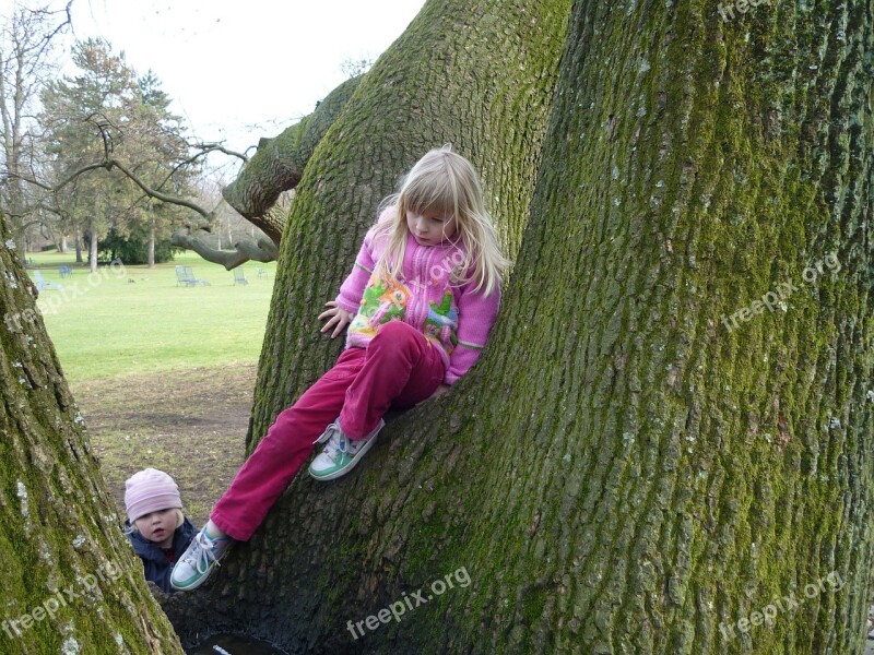 Child Tree Autumn Climb Tree Bark