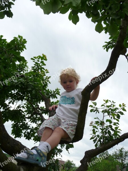 Child Tree Climb Play Garden