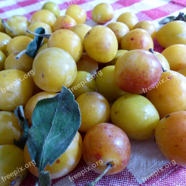 Yellow Plums Fruit Vitamins Yellow Sweet