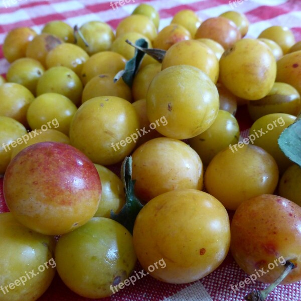 Yellow Plums Fruit Vitamins Yellow Sweet