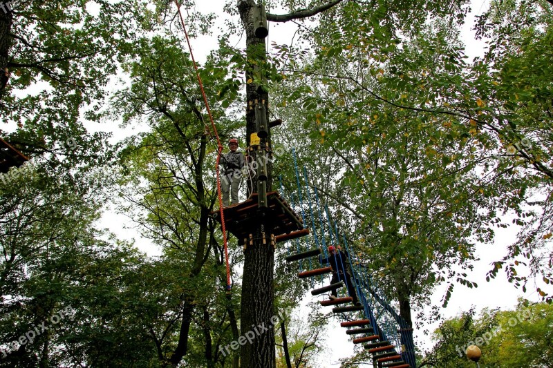 Rope Park Monkey Grove Climbing Fun Rope