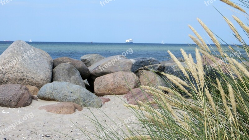 Coast Beach Baltic Sea Sea Water