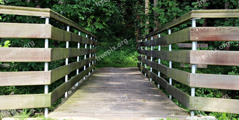 Web Wooden Bridge Bridge Transition Trees