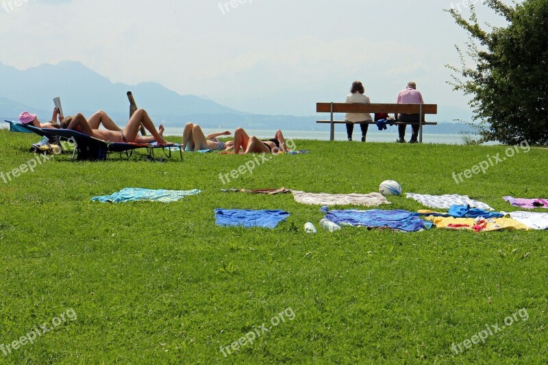 Recovery Leisure Lawn Rest Human