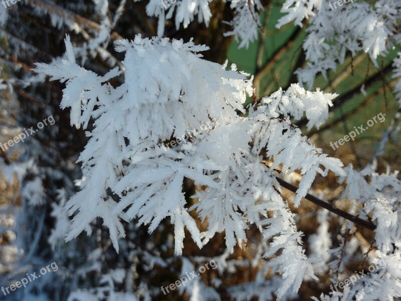 Hardest Eiskristalle Frost Winter Winter Magic