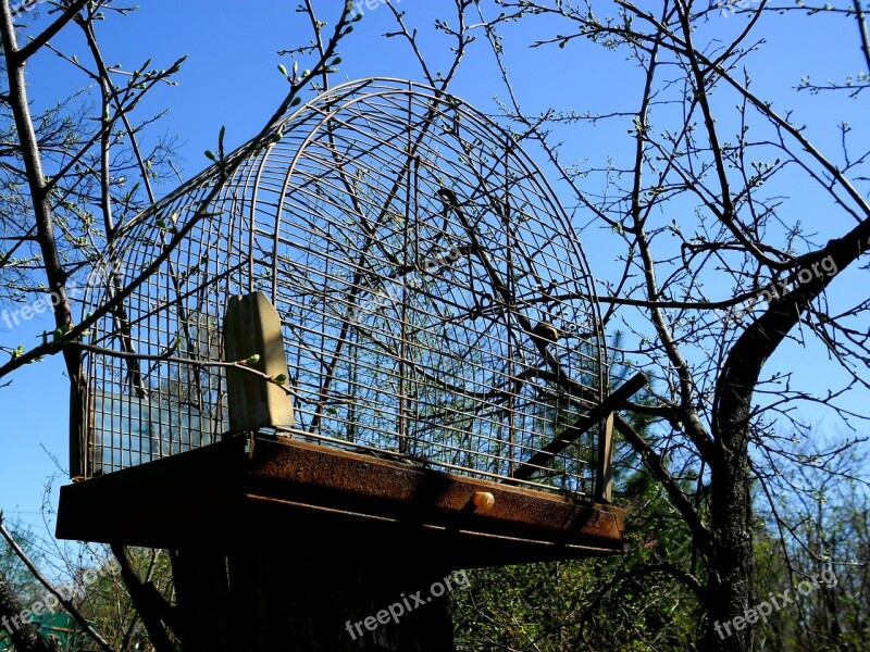 Cage Tree Cherry An Empty Garden