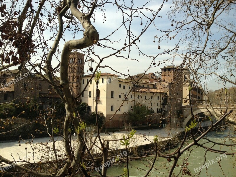 Island Tiber Branches Edge River