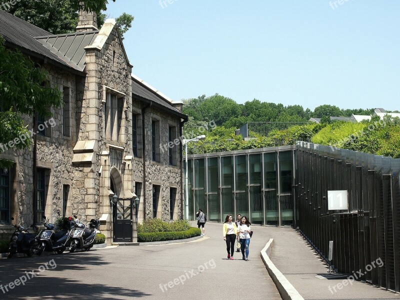 University Ewha Building Architecure Students