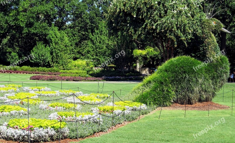 Topiary Peacock Garden Decoration Whimsy