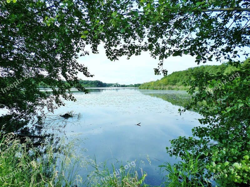 Lake Lake View Water Nature Wernsdorfer Lake