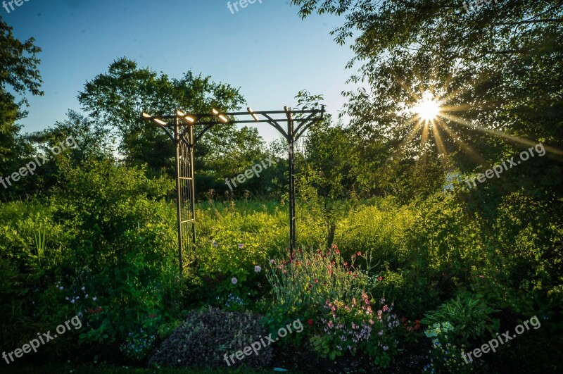 Garden Flowers Nature Floral Blossom