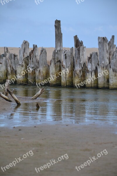 Sea Beach Sand Water The Bars