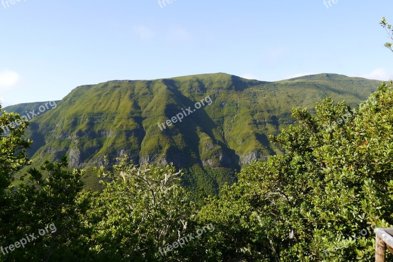 Madeira Mountain Green Summit Trail