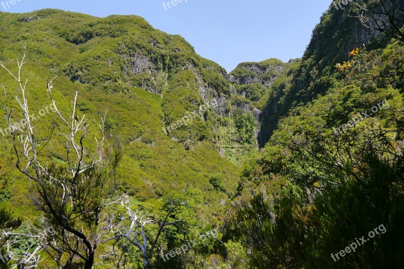 Madeira Landscape Wild Mountains Nature