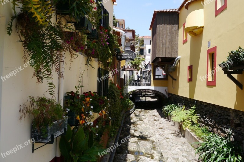 Funchial Madeira Portugal House Flower Island