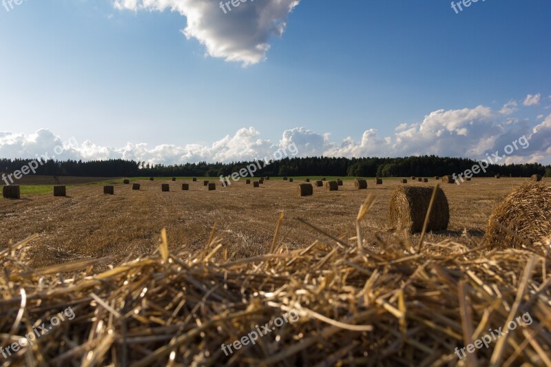 Landscape Agriculture Harvest Straw Field