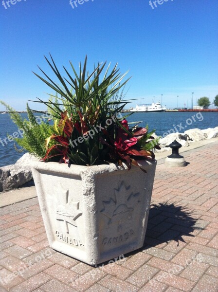 Planter Flowers Canada Lake Summer