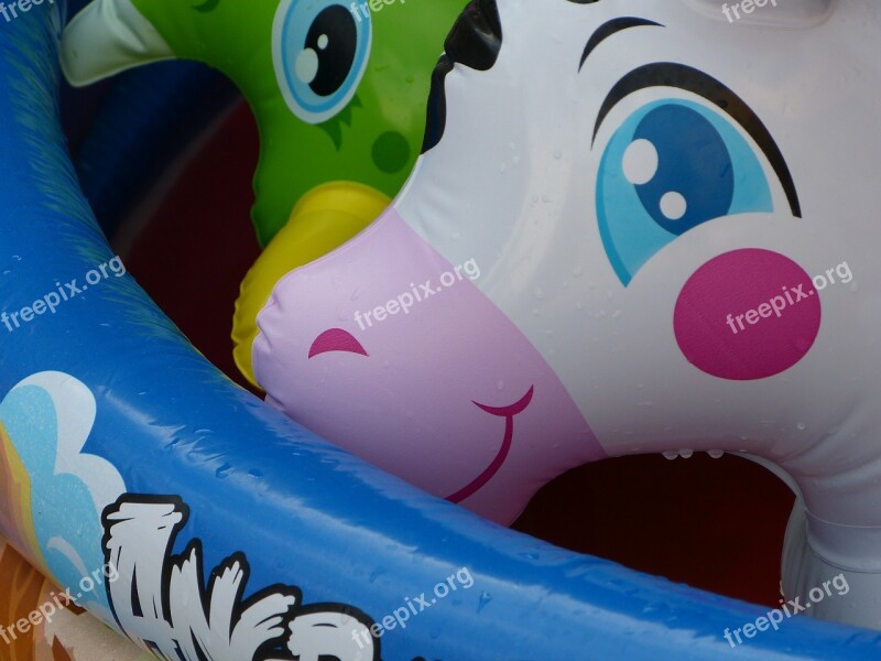 Pool Inflatable Pool Toy Blowup Vinyl