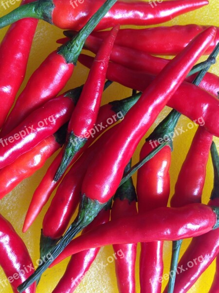 Chili Red Sharp Eat Spice