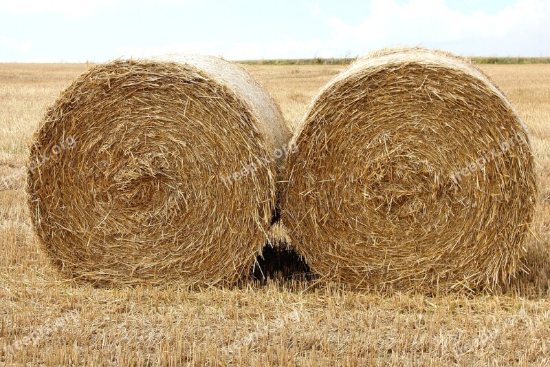 Straw Harvest Halmbal Feed Free Photos