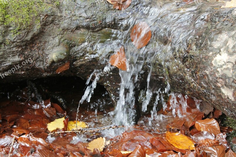 Autumn Water Stone Rock Autumn Mood