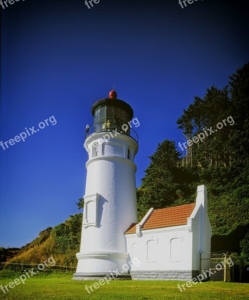 Hadeda Head Lighthouse Architecture Trees Landscape