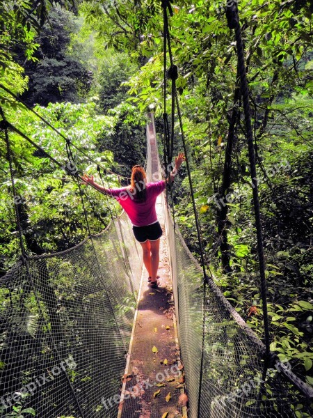 Rope Bridge Bridge Journey Heights Travel