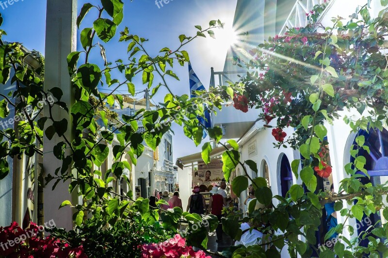 Oia Santorini Greece Flowers Sun Star