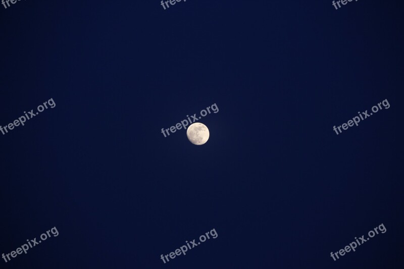 Moon The Night Sky Full Moon Free Photos