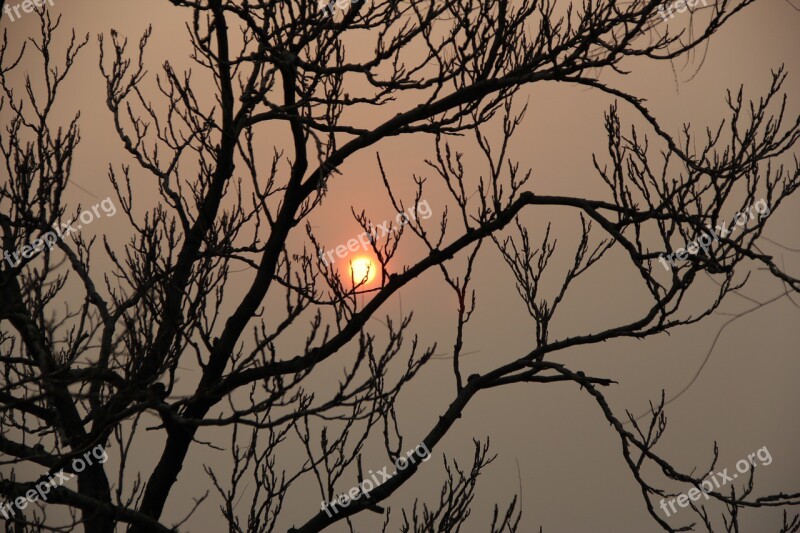 Moon Shadows Sunset Free Photos