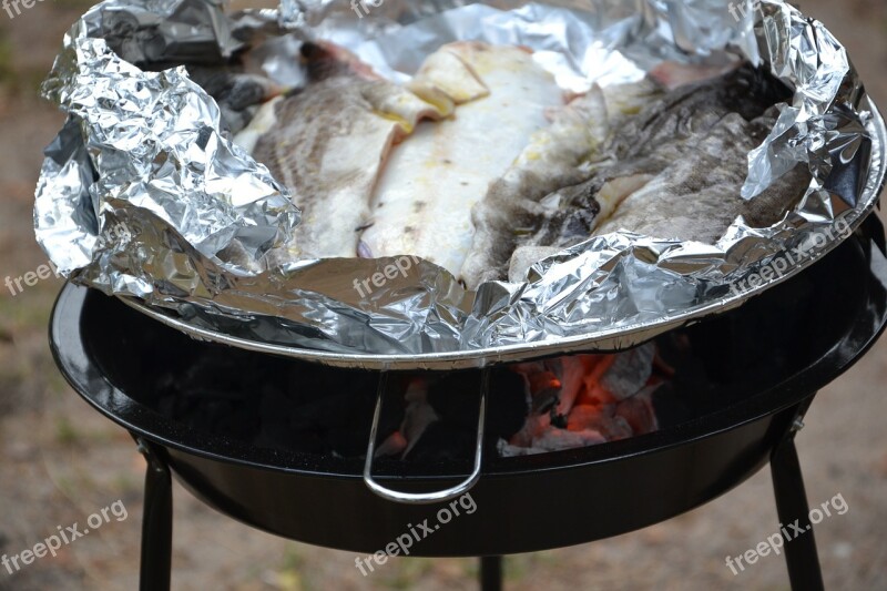 Grill Fish Grilling Rest Eating