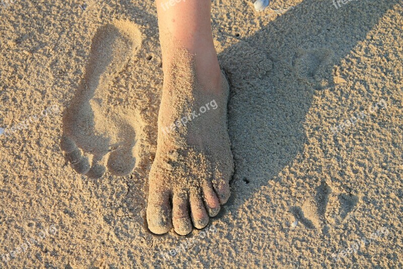 Foot Sand Footprint Free Photos