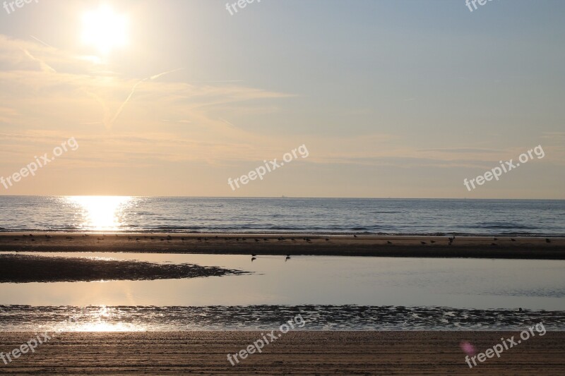 North Sea Coast Sand Sunset Nature