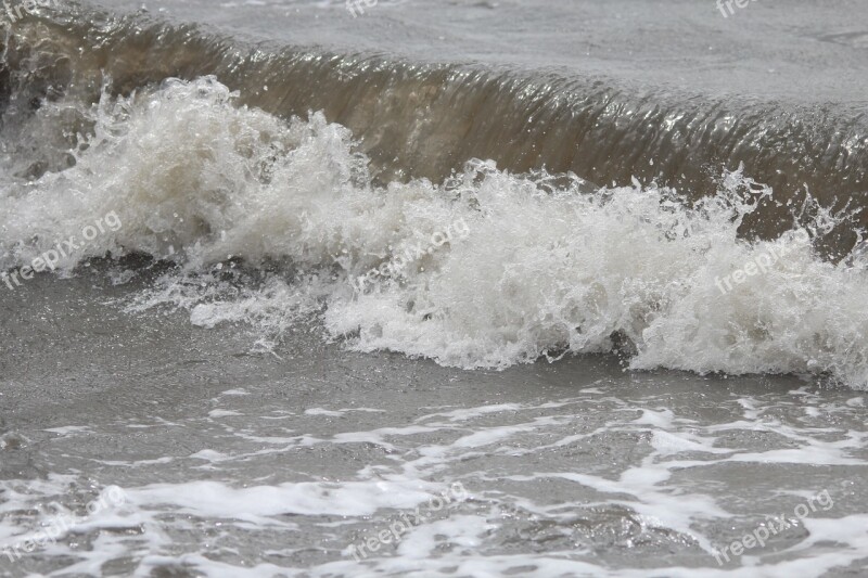 Wave Water Sea Coast Surf