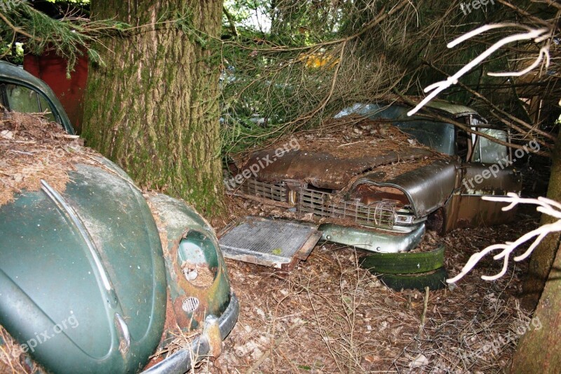 Auto Car Cemetery Old Rusted Vw Beetle